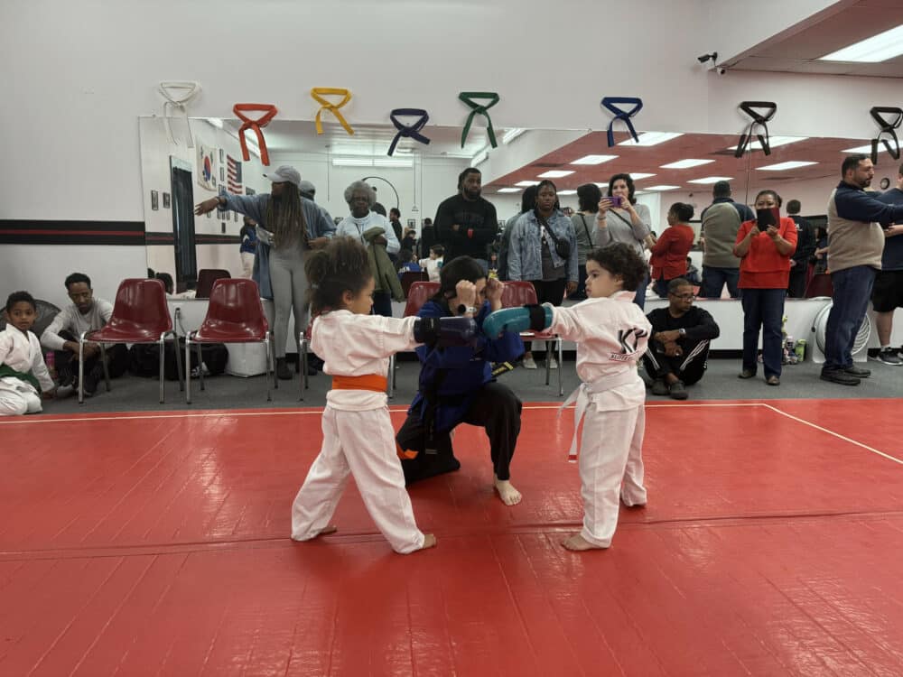 Klotz Institute of Karate  Introductory Class